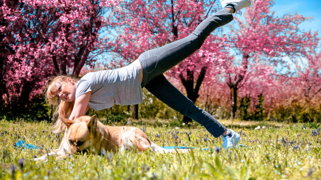 perda muscular na menopausa 